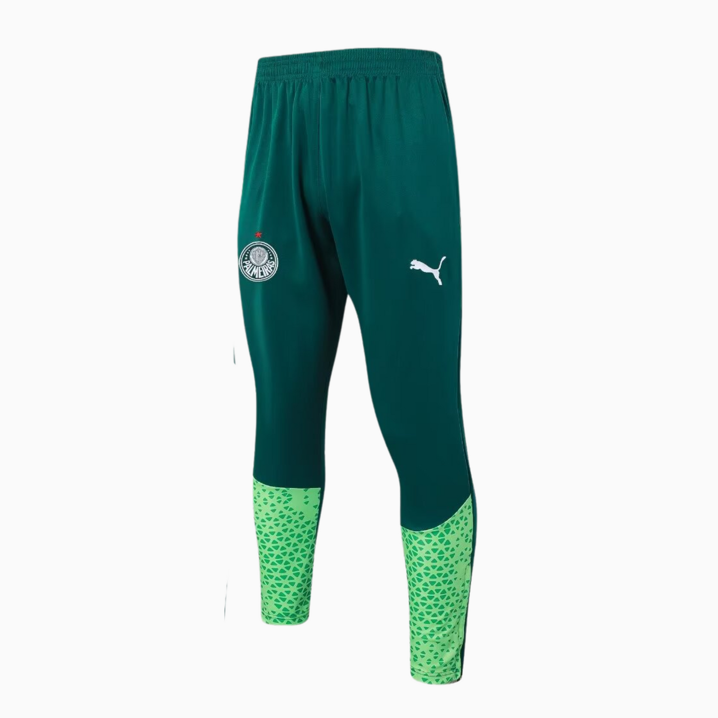 Conjunto de Treino Palmeiras 2024/25 I Masculino