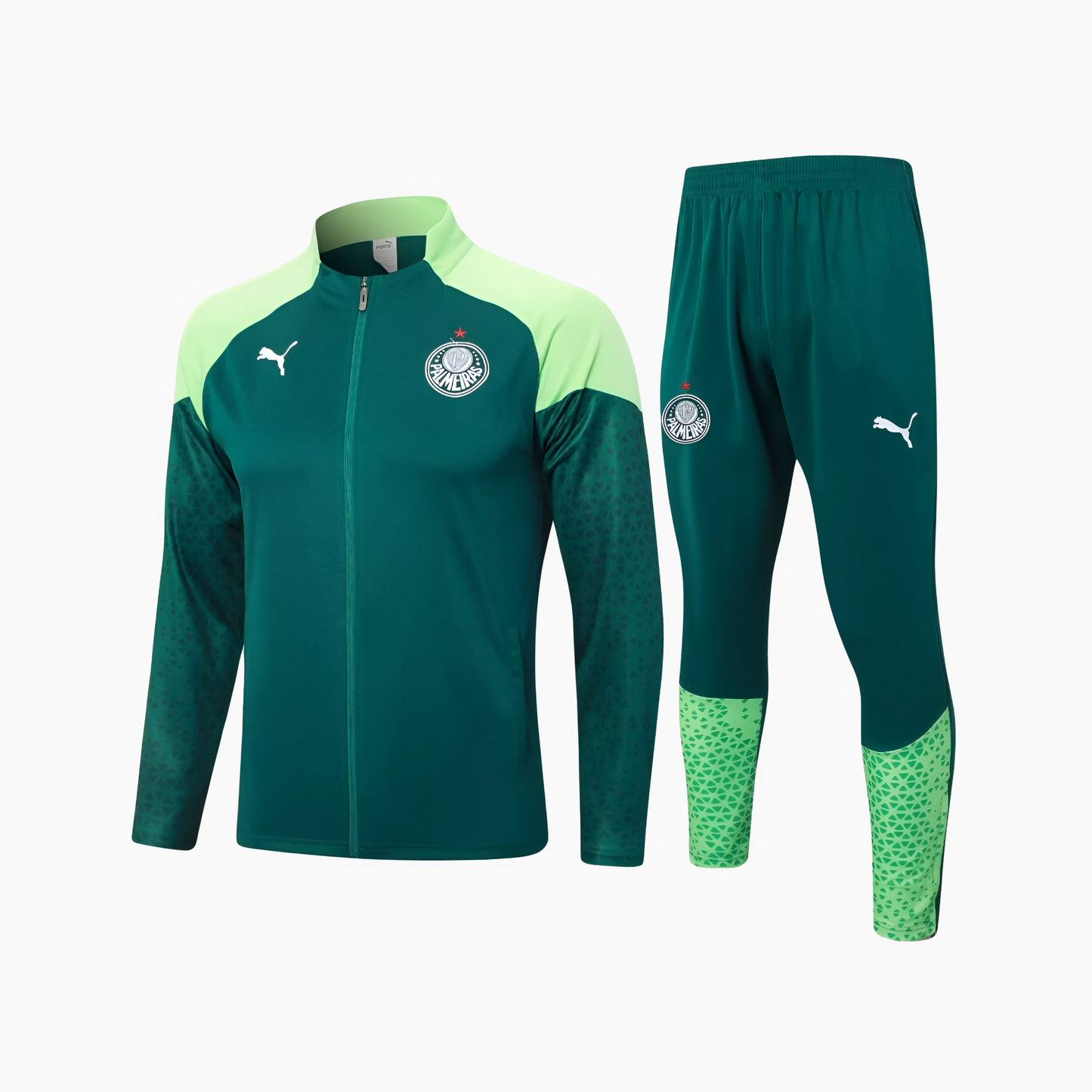 Conjunto de Treino Palmeiras 2024/25 I Masculino