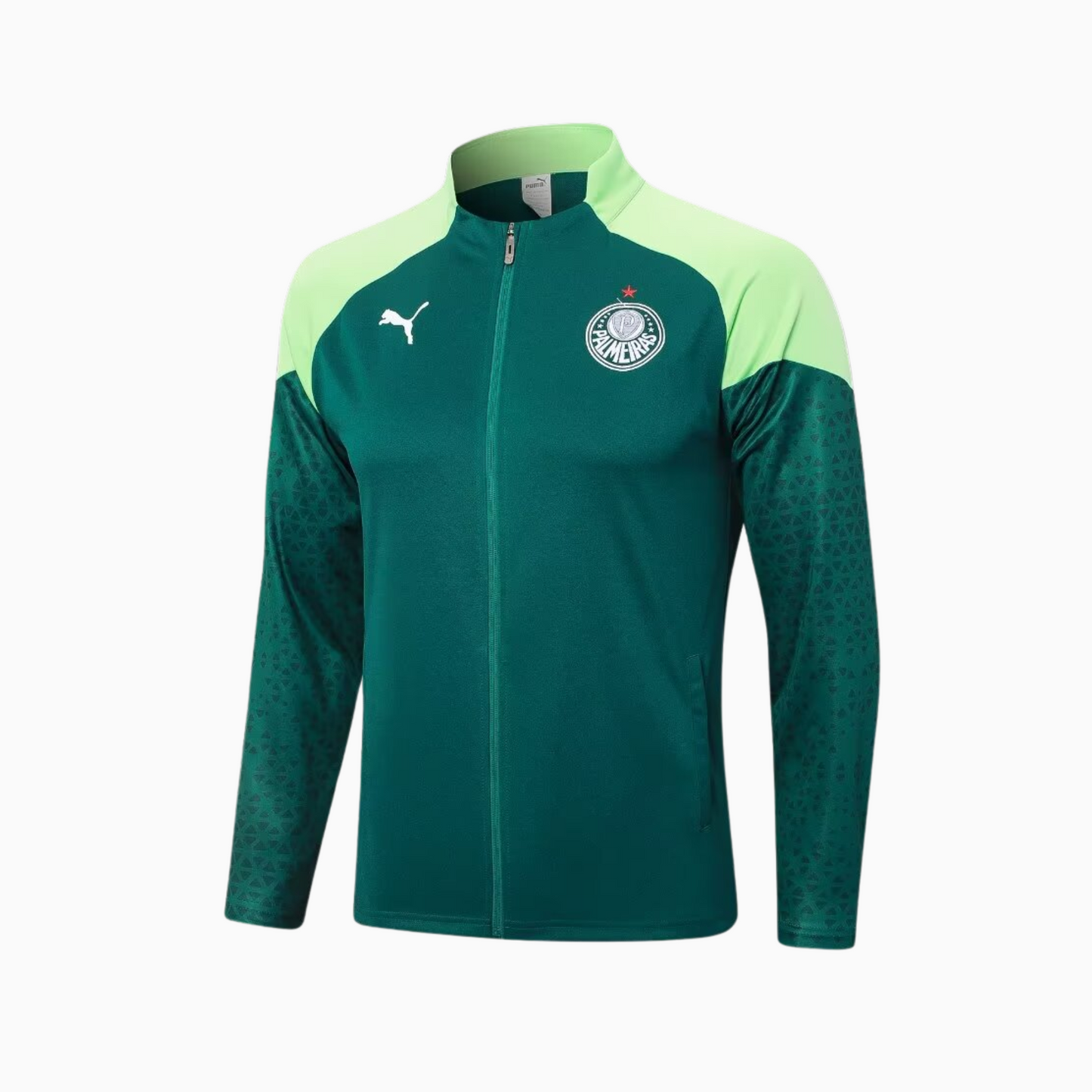 Conjunto de Treino Palmeiras 2024/25 I Masculino